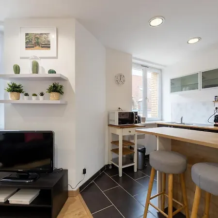 Old Town- Superb 2- 3pers Apartment! Apartment Lille